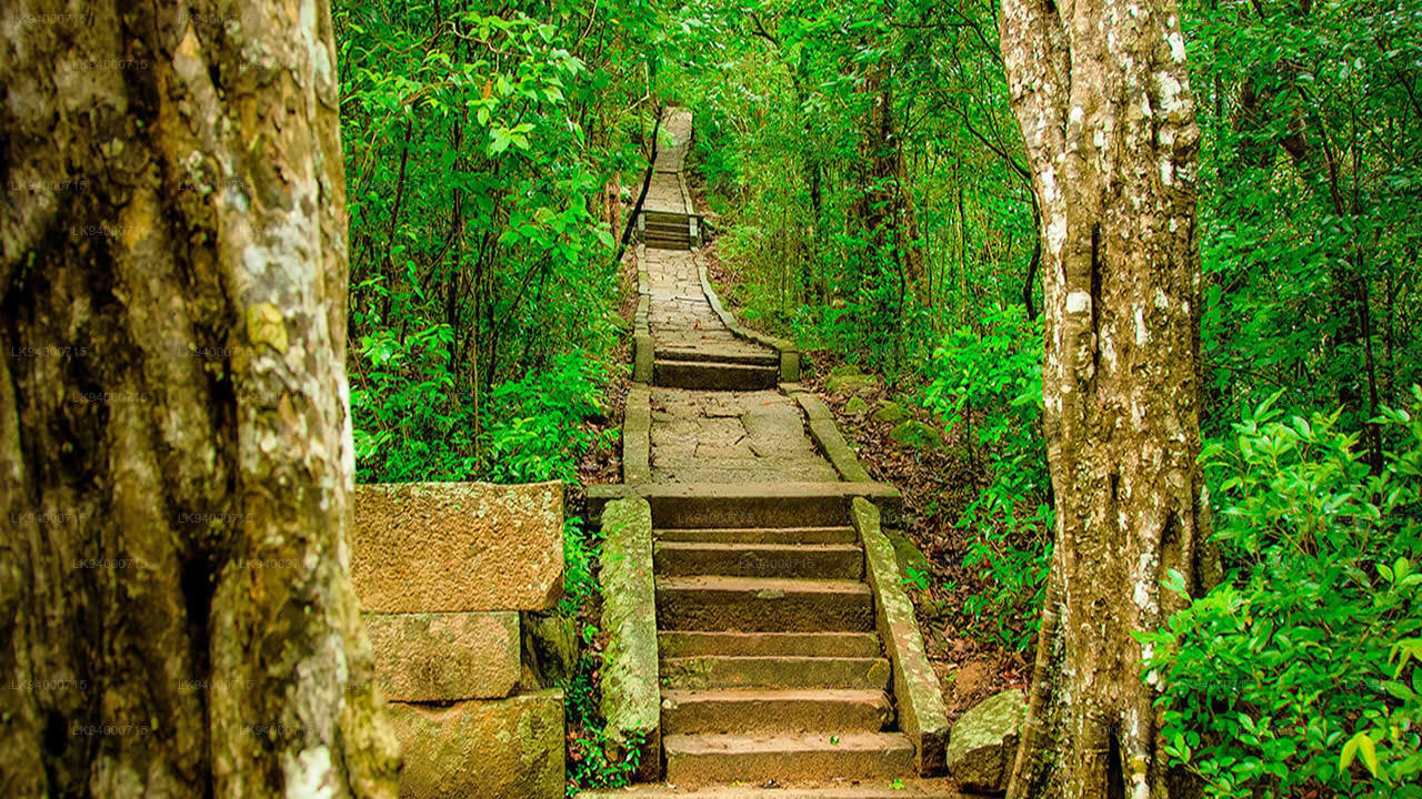 Ritigala Nature Reserve